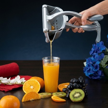 Manual Fruit Press Juicer